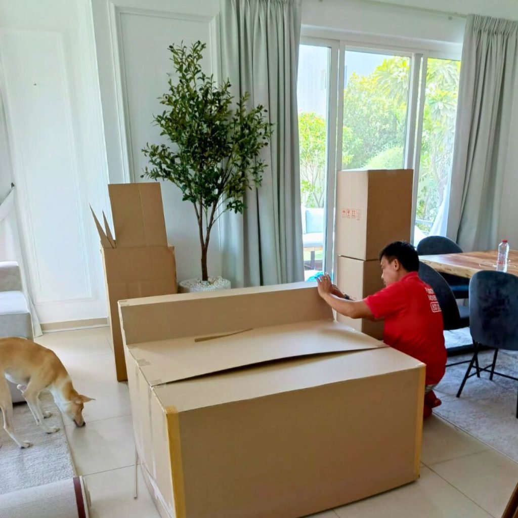 Fusion packer assembling cartons in a Dubai living room while the family dog looks on